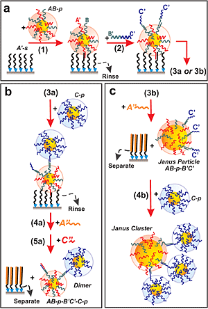 Using DNA to assemble nanoclusters